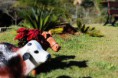 /album/exteriores/img-9404-jpg/