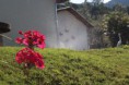 /album/exteriores/img-9463-jpg/