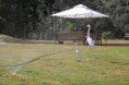 /album/exteriores/img-9484-jpg/