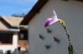 /album/exteriores/img-9593-jpg/