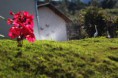/album/exteriores/img-9705-jpg/